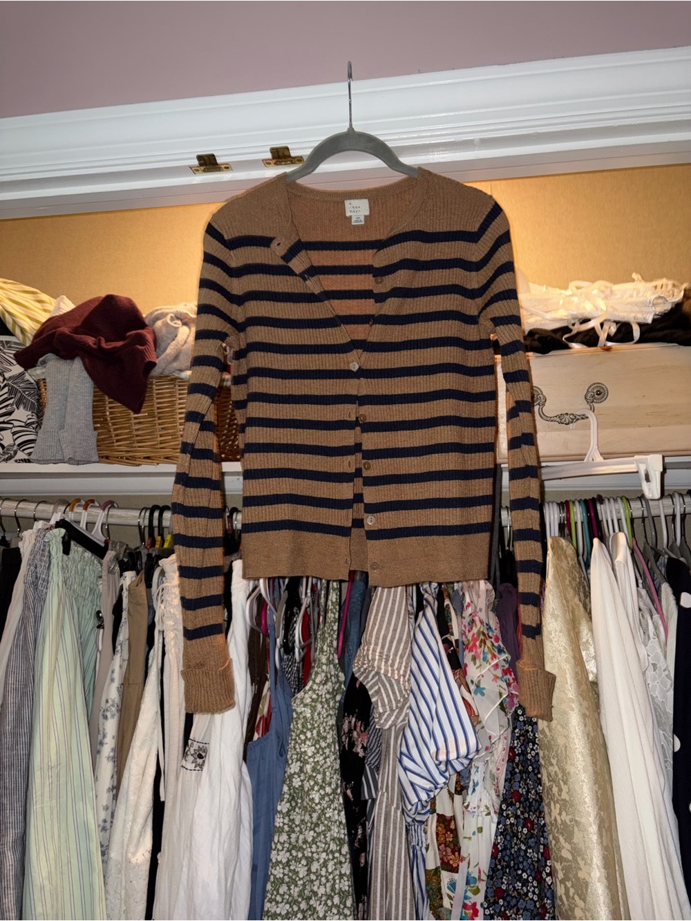 Target Brown & Navy Striped Button-Up Women's Cardigan